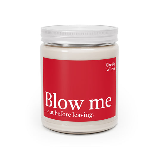 9oz scented candle - Blow me... out before leaving.